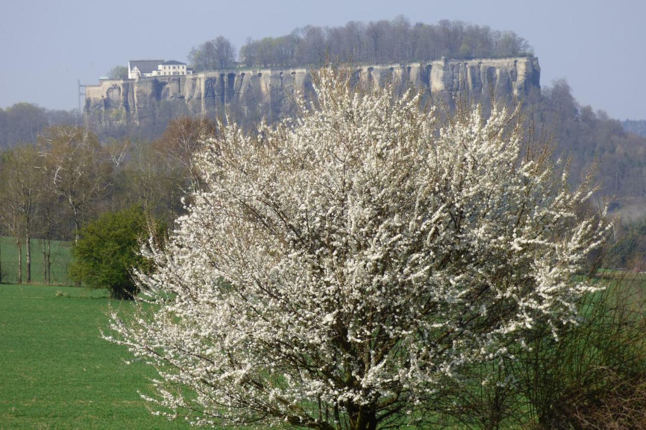 Buechsenhof *