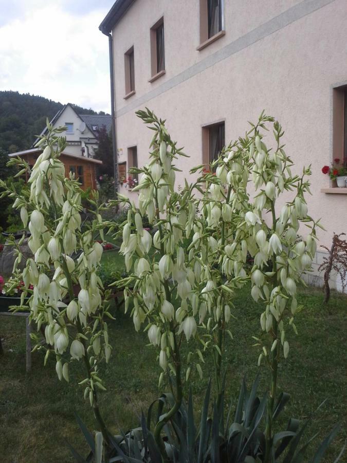 Buechsenhof